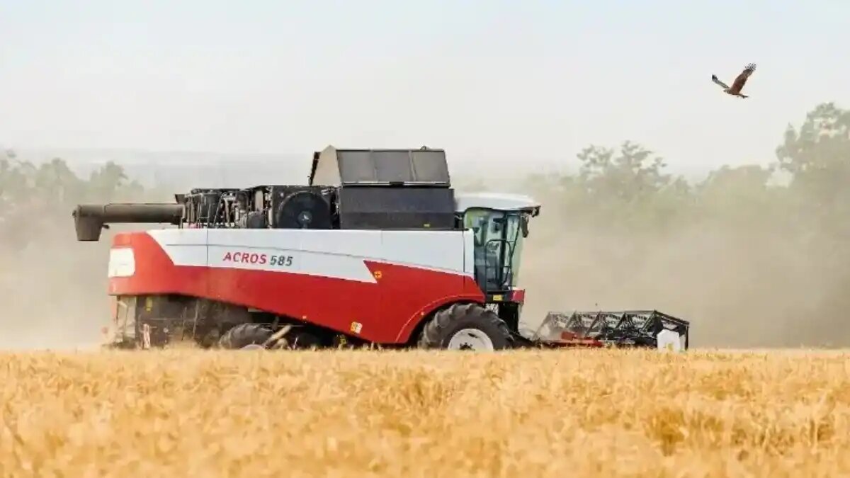 Фото: rostselmash.com / Ростсельмаш
Зерноуборочный комбайн ACROS 585 от Ростсельмаш в поле