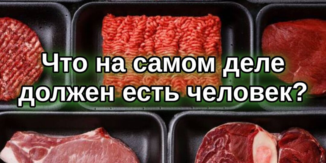 Что на самом деле должен есть человек?