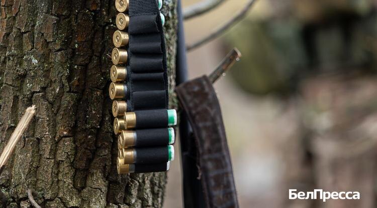 Фото: Алексей Дацковский