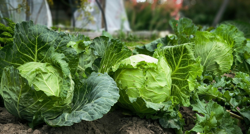    Фото из архива редакции