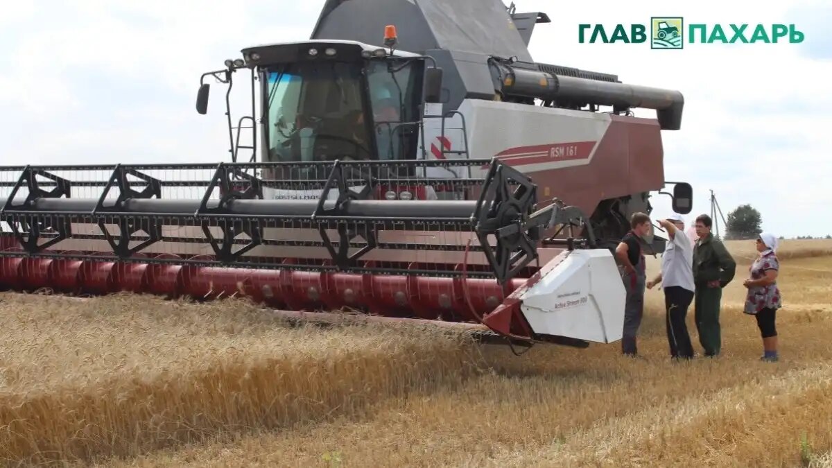 Фото: © Артем Борисов / Glavpahar.ru
Кабмин обновил критерии определения потребительских свойств сельхозтехники (фото иллюстративное)
