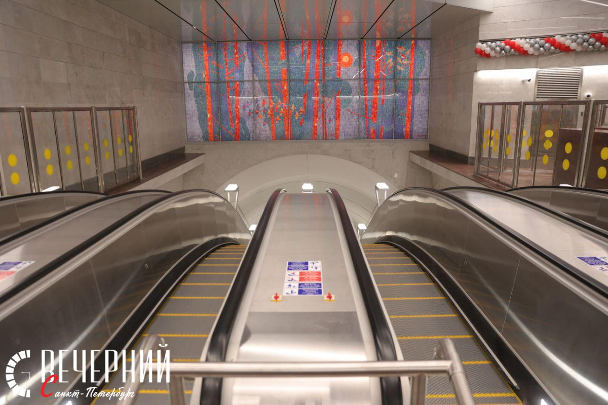 Фото: Никита Широков / «Вечерний Санкт-Петербург»