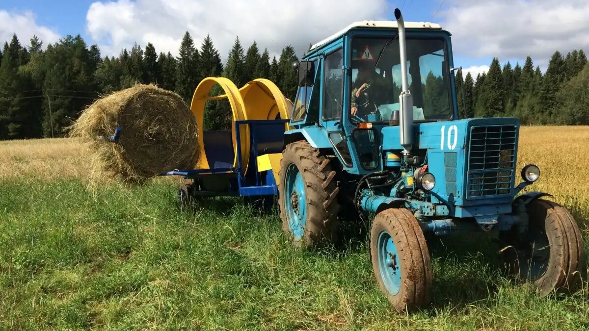 Фото: Вятский ГАТУ
Ученые Вятского ГАТУ награждены премией за разработку измельчителей кормов и стебельных материалов в АПК Кировской области