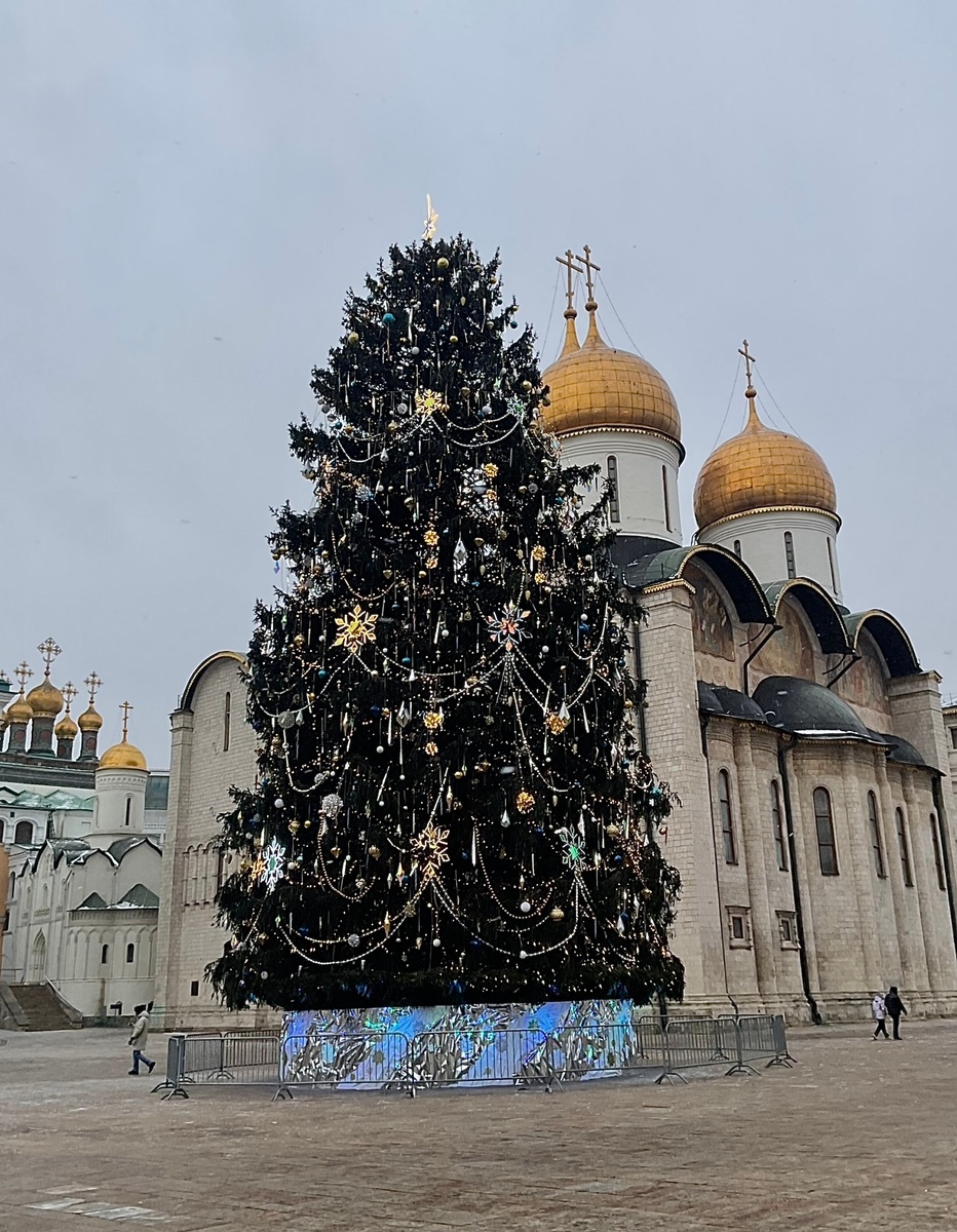 Фото из открытых источников интернет