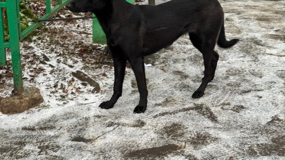 Помогаем информационно