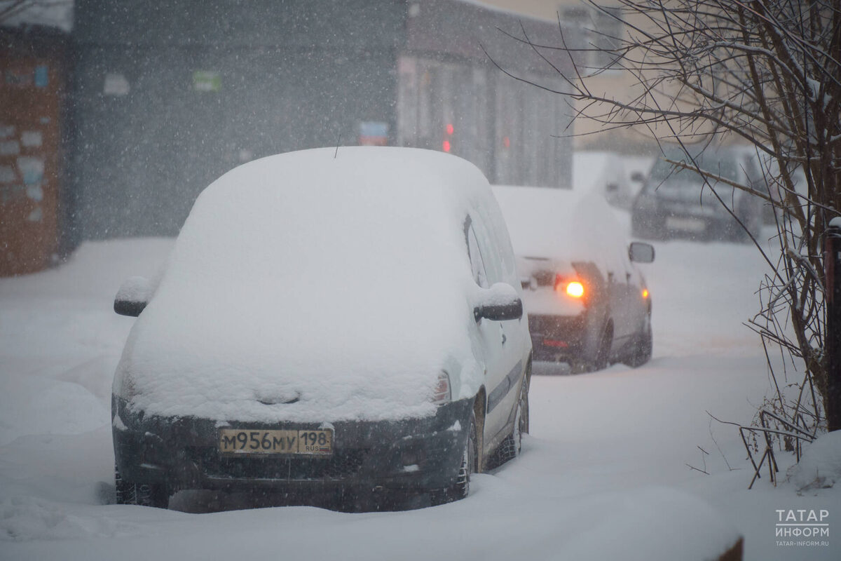 Фото: © Владимир Васильев / «Татар-информ»