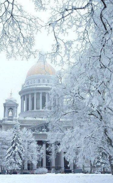 из интернета