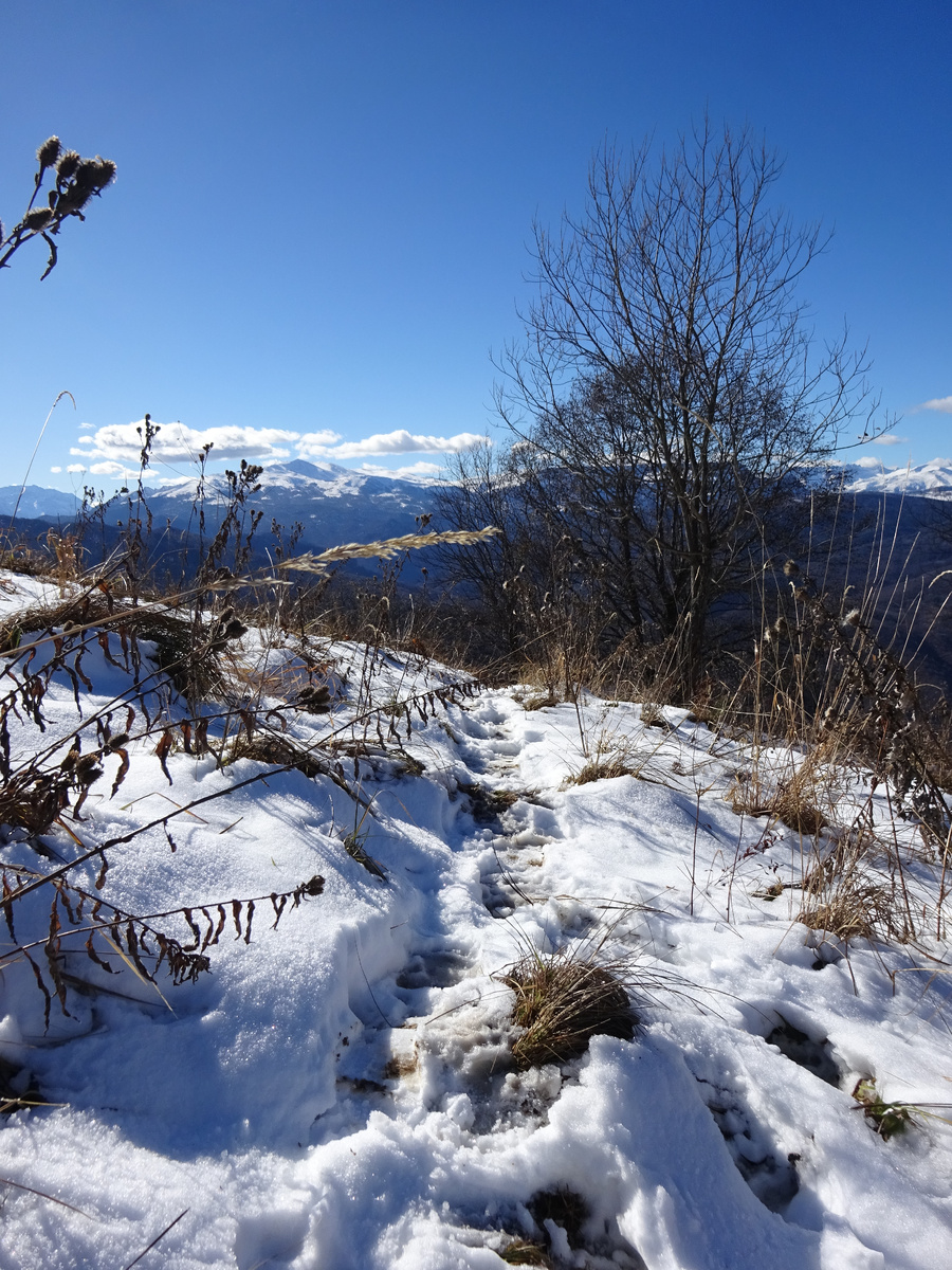 Свежая медвежья тропинка в горах Краснодарского края.