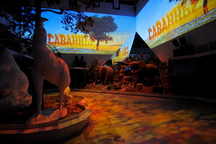 Свето-видео-музыкальная экспозиция «Живая планета»