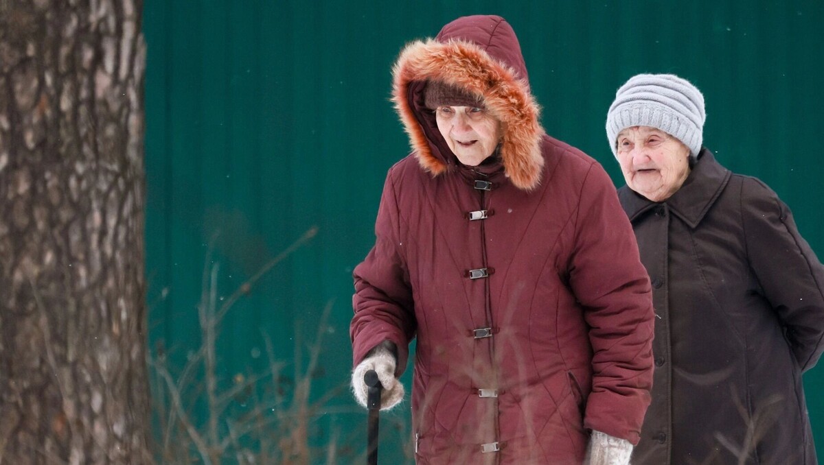 Пенсионных выплат в РФ хватает только на базовые выплаты и скромную еду. Фото: Владимир Смирнов / ТАСС