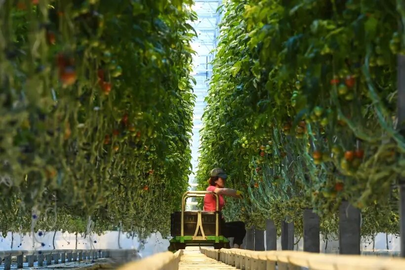     © РИА Новости. Александр Кряжев