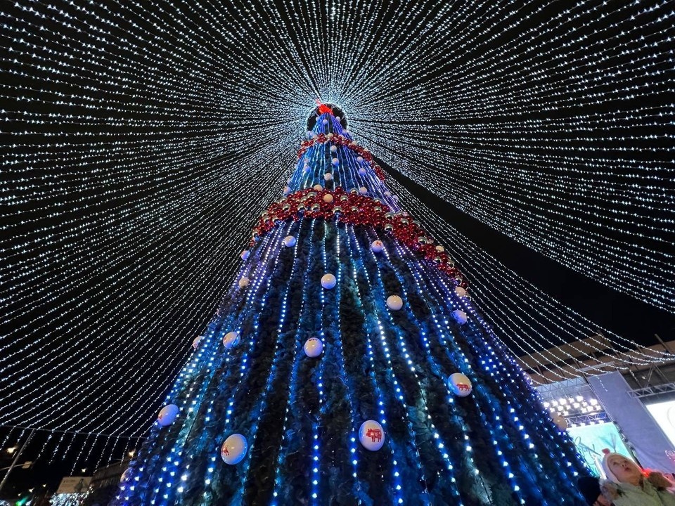    Открытие главной елки Валерия РАЗИНА