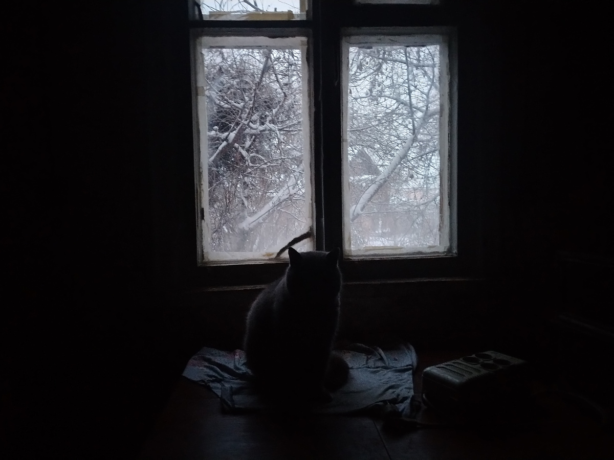 Окно во Втором доме. На столе сидит Тиша. Там сломан электрический счётчик и не Света. Использую только Фонари. 