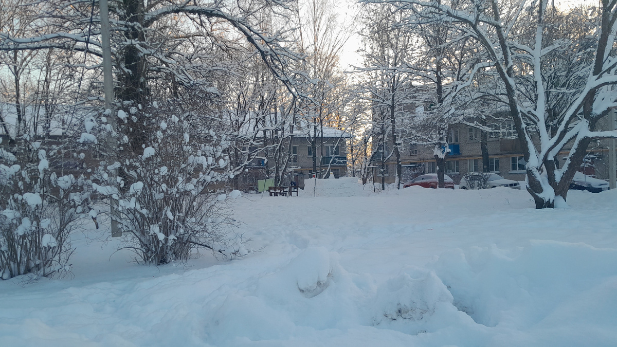 Фото Ирины Одарчук Паули Зима