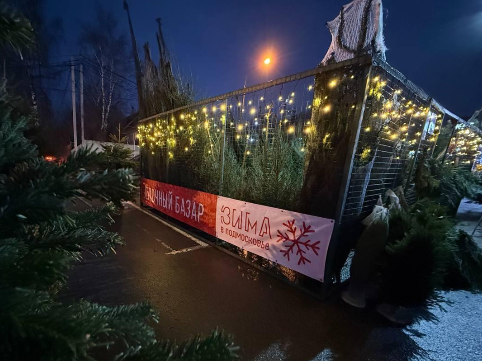    Фото: пресс-служба администрации м.о. Истра