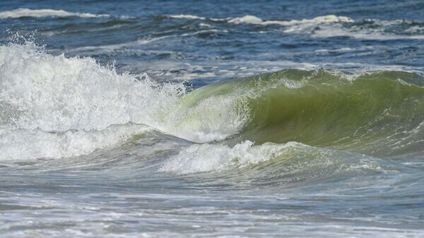    © Getty Images / Kike Calvo/Universal Images Group