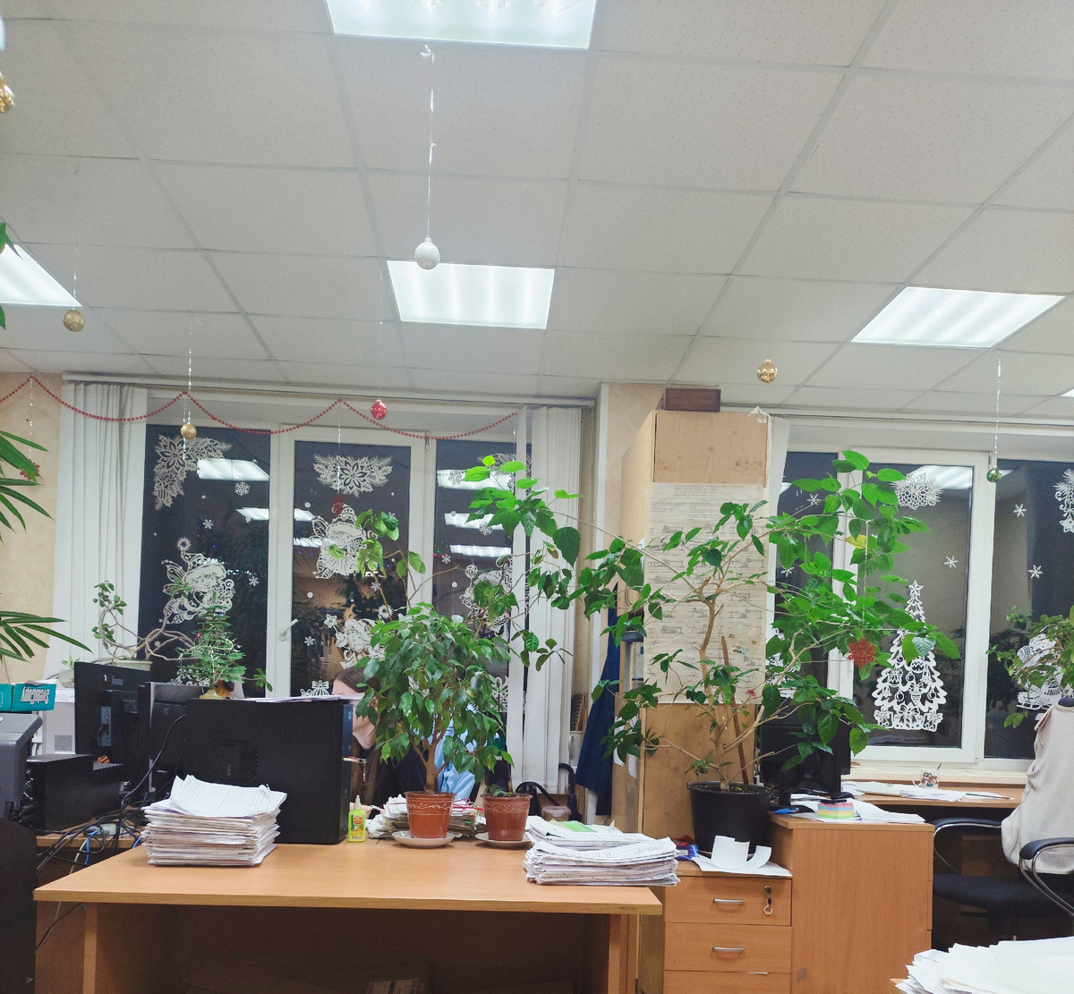 Немного новогодней атмосферы нашего кабинета