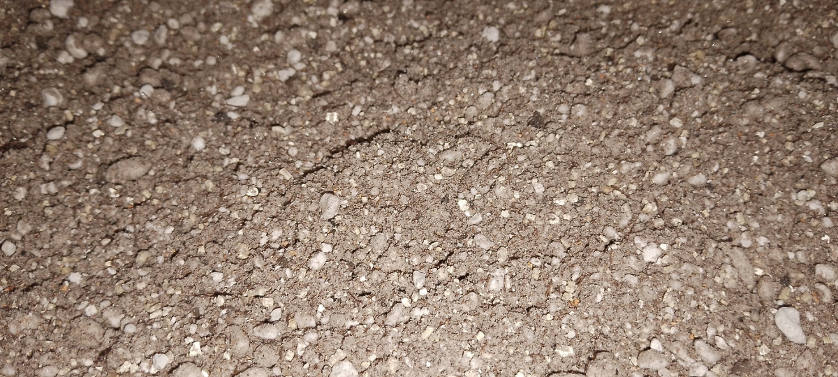 Городское садоводство: как вырастить урожай на балконе с помощью Княжий Аргамак