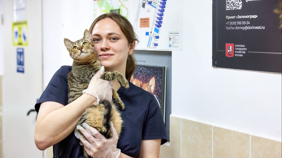    Источник: Максим Денисов. mos.ru