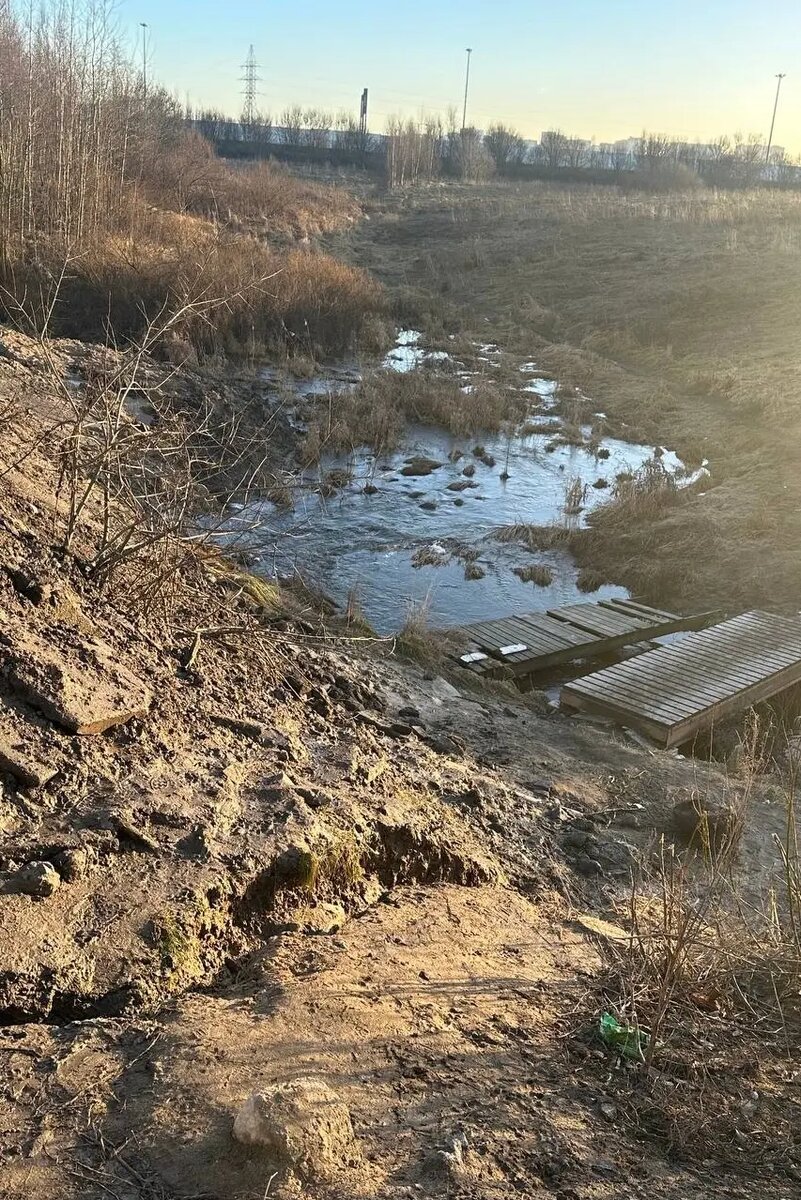    Фото: пресс-служба ГУ Росгвардии по Петербургу и Ленобласти