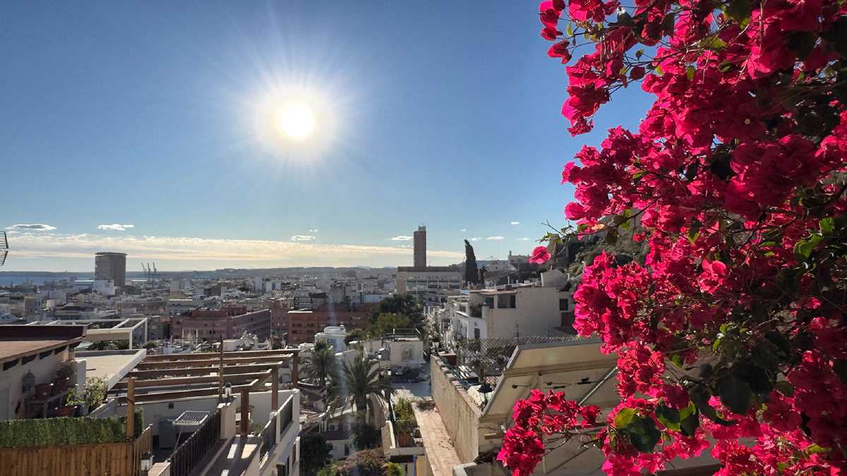 Роскошная бугенвиллея и солнце почти в зените. Боженька, храни мой айфон!