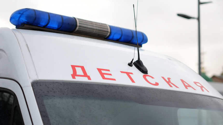    Фото: ИЗВЕСТИЯ/Эдуард Корниенко; 5-tv.ru