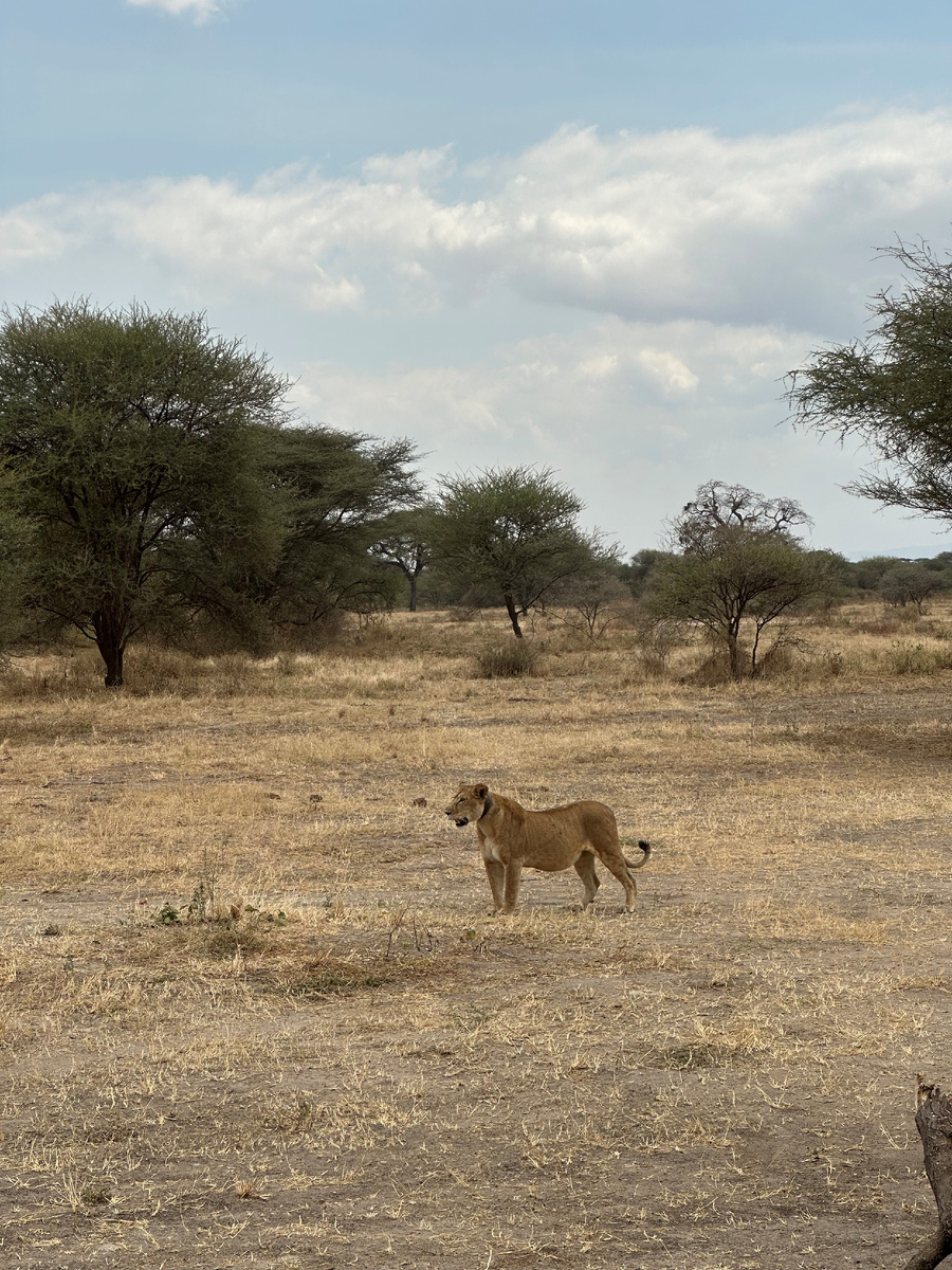 Тогда я был шокирован и не верил своим глазам.