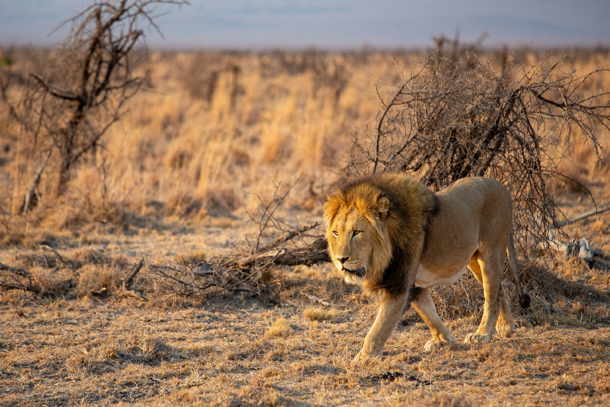 Фото из сети Интернет - Unsplash.