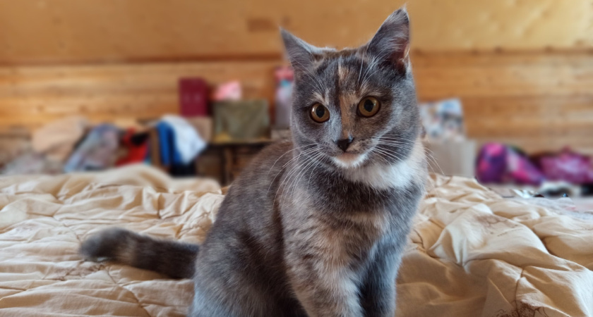    Фото из архива редакции