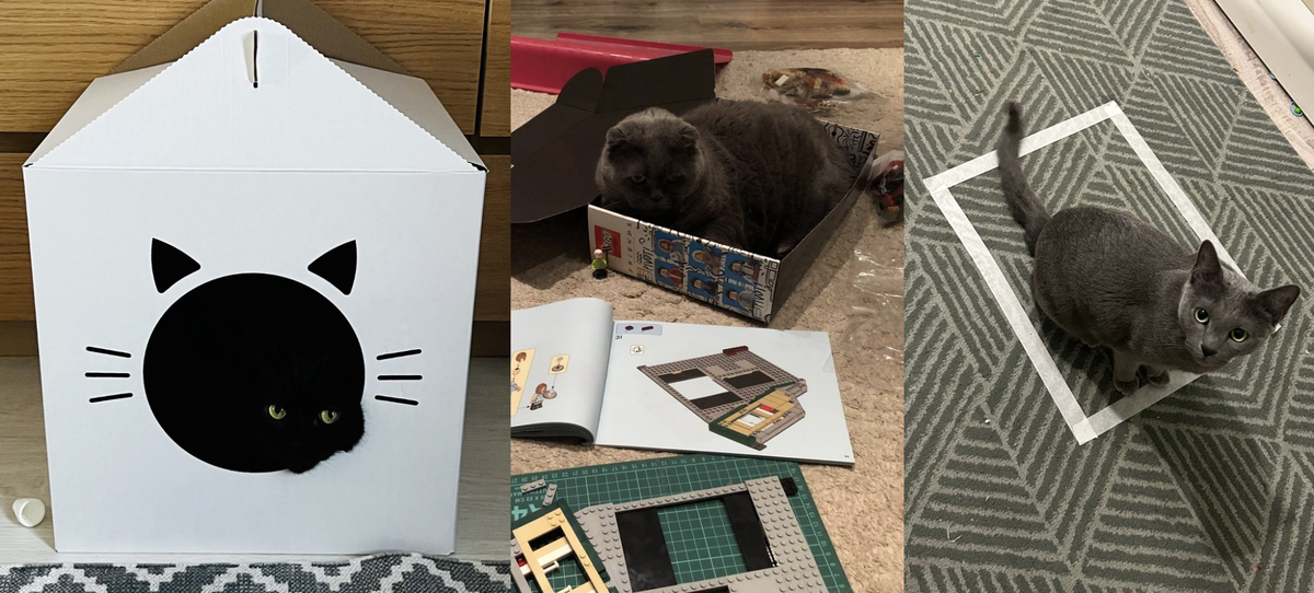     Слева направо: Цезарь, Жужа и Граф Екатерина Скрябина, Константин Зорниченко, Мария Пази