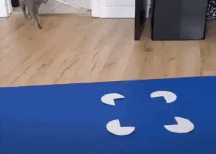     Кот в фантомной коробке Gabriella Smith M.A. / X