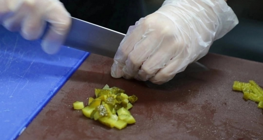    Фото с сайта Правительства Вологодской области