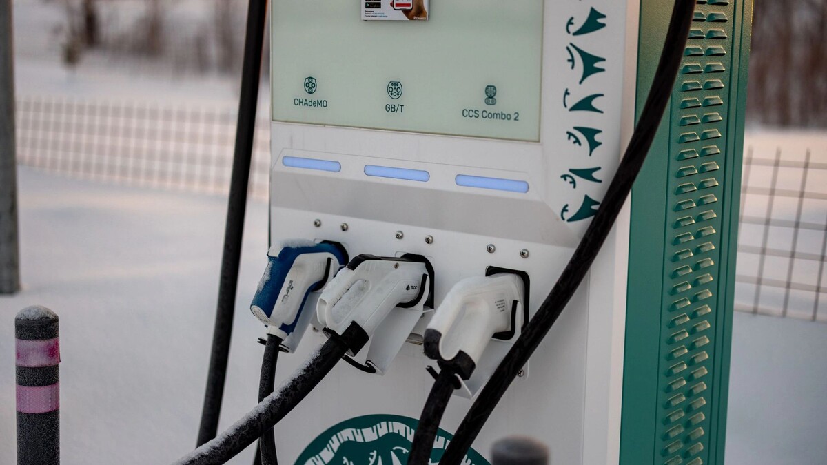    Фото: Сергей Зубков/«Ямал-Медиа»