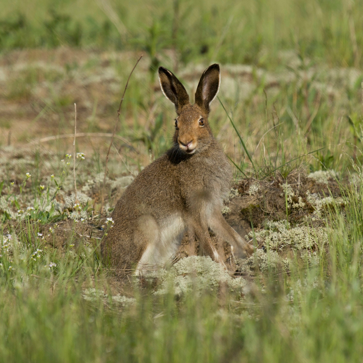 Автор фото Анатолий Смирнов