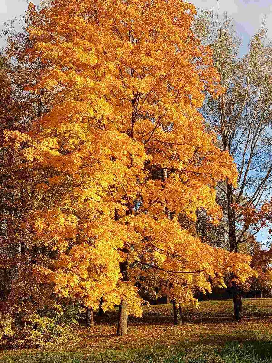 У нас такой декабрь, это очень большая редкость в Израиле