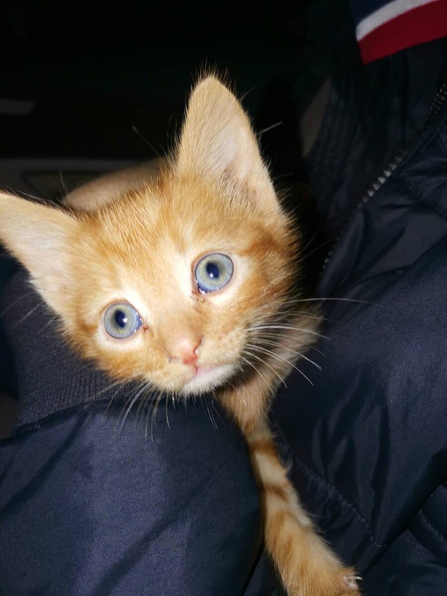 Только забрали и едем домой.