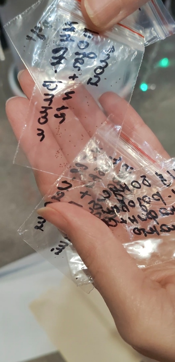 Долгожданные пакетики с семенами