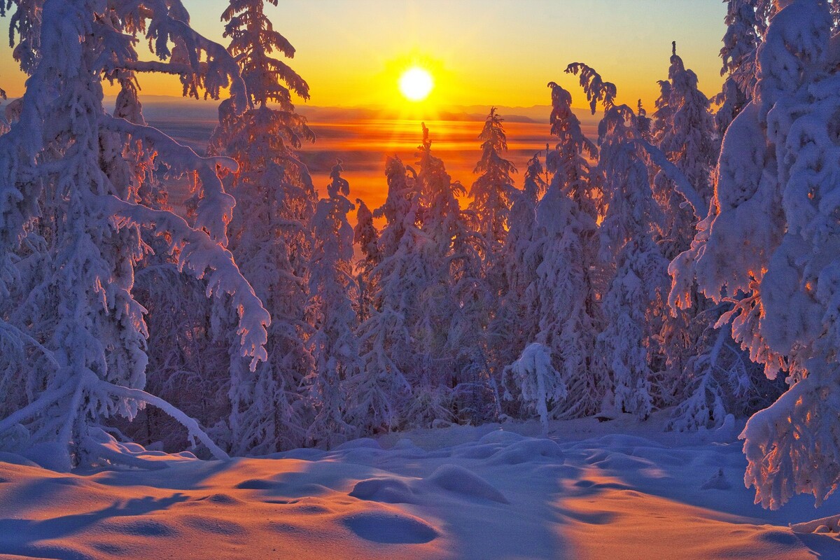 Картинка найдена на просторах интернета, ссылка https://yandex.ru/images/search?from=tabbar&img_url=https%3A%2Fi%2F.pinimg.com%2Foriginals%2Fa8%2F34%2Fа3f%2Fa83р43f851с217879b5e7bd53274cf0591a19.jpg&lr=47&pos=15&rpt=simage&text=%D1%86%D0%B2%D0%B5%D1%82%D1%8B%20%D0%BA%D1%80%D1%83%D0%BF%D0%BD%D0%BE%20%D1%84%D0%BE%D1%82%D0%BE 