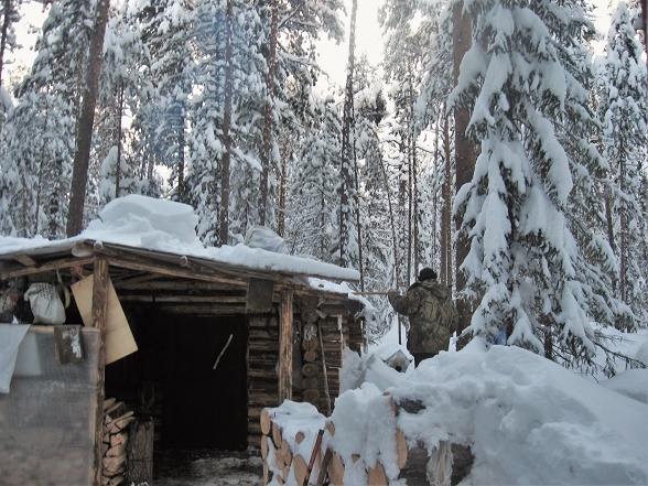 Шаг ещё шаг