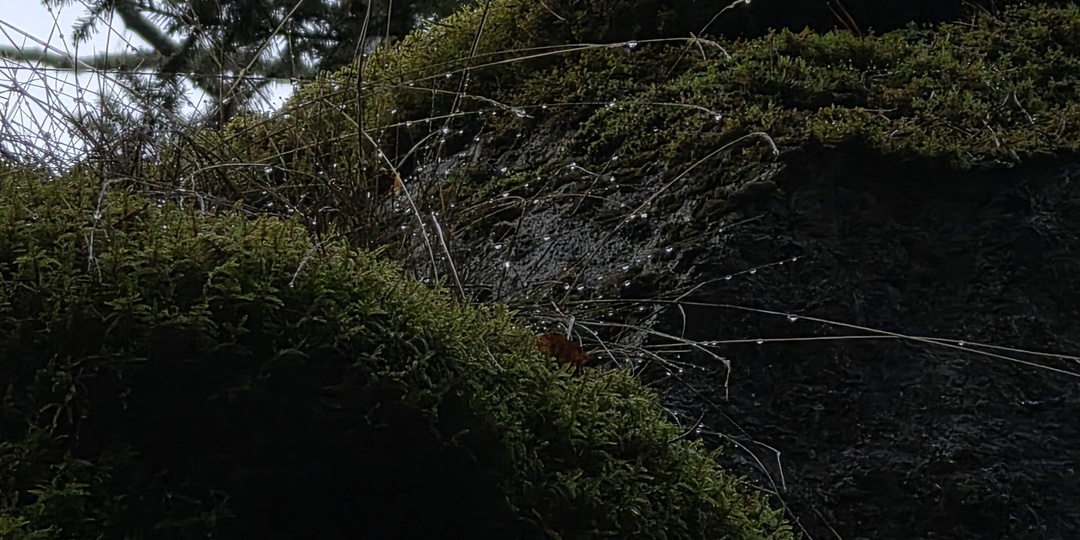 Одним днем из Питера в Карелию: скалы, водопады и лоси под звездами