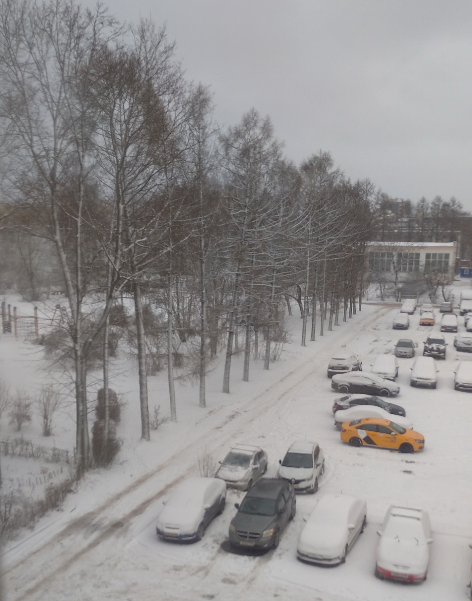 личное фото