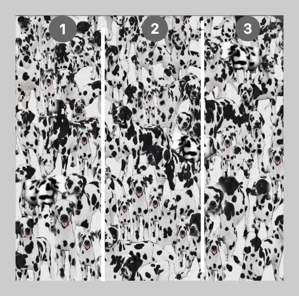 Картинка для ответа