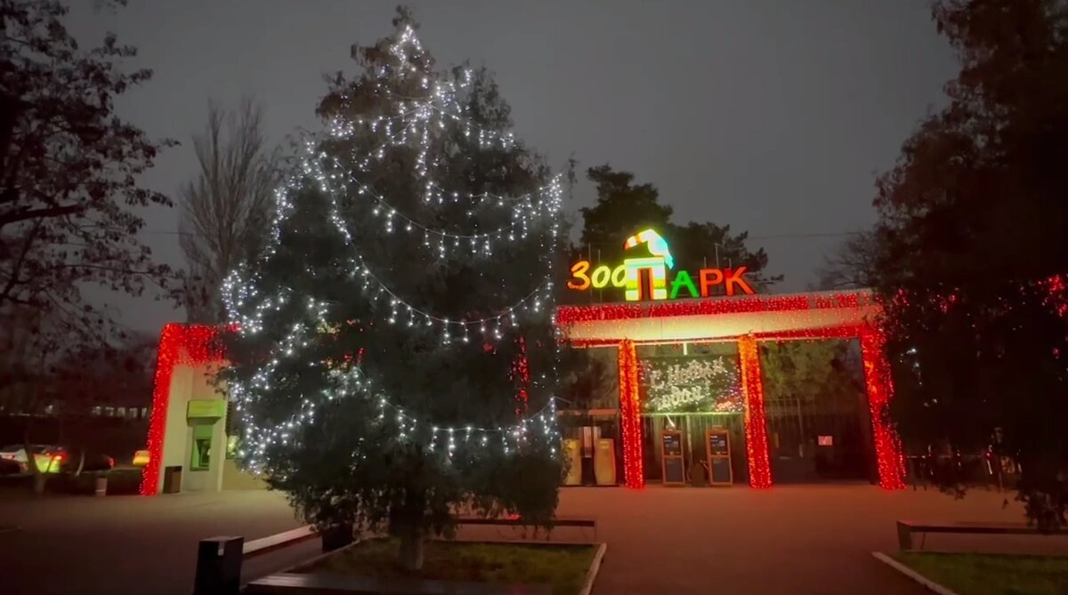    Фото: скрин из видео Ростовского зоопарка