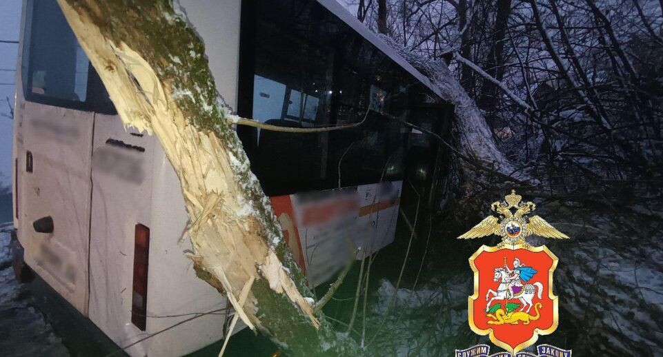    ГУ МВД России по Московской области