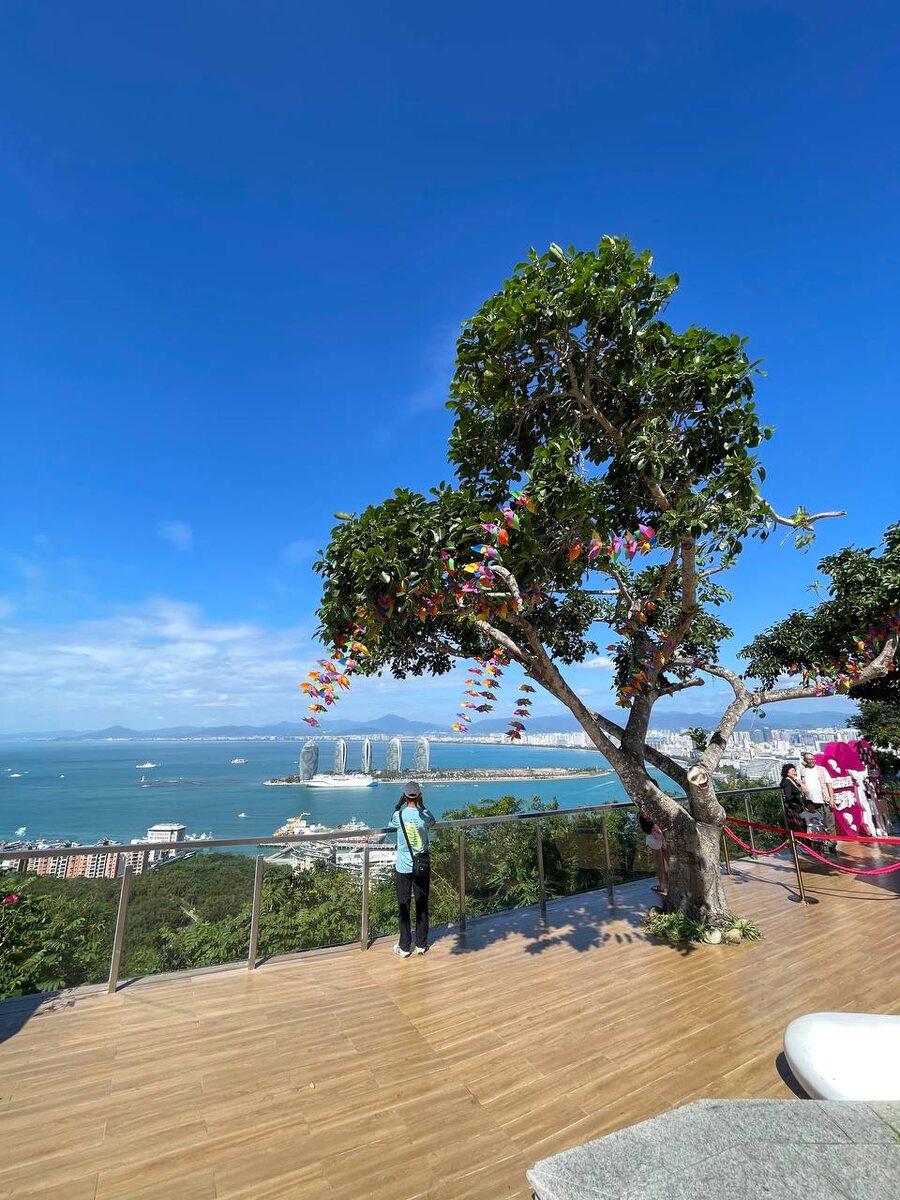 Парк Олень повернул голову 