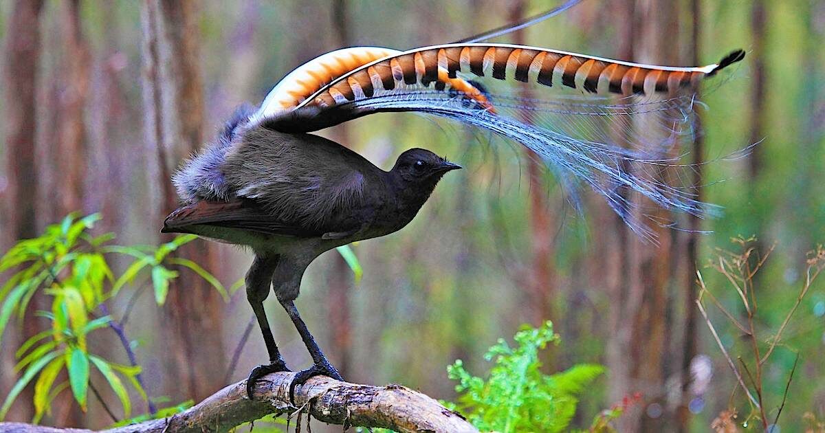 Фотография из интернета