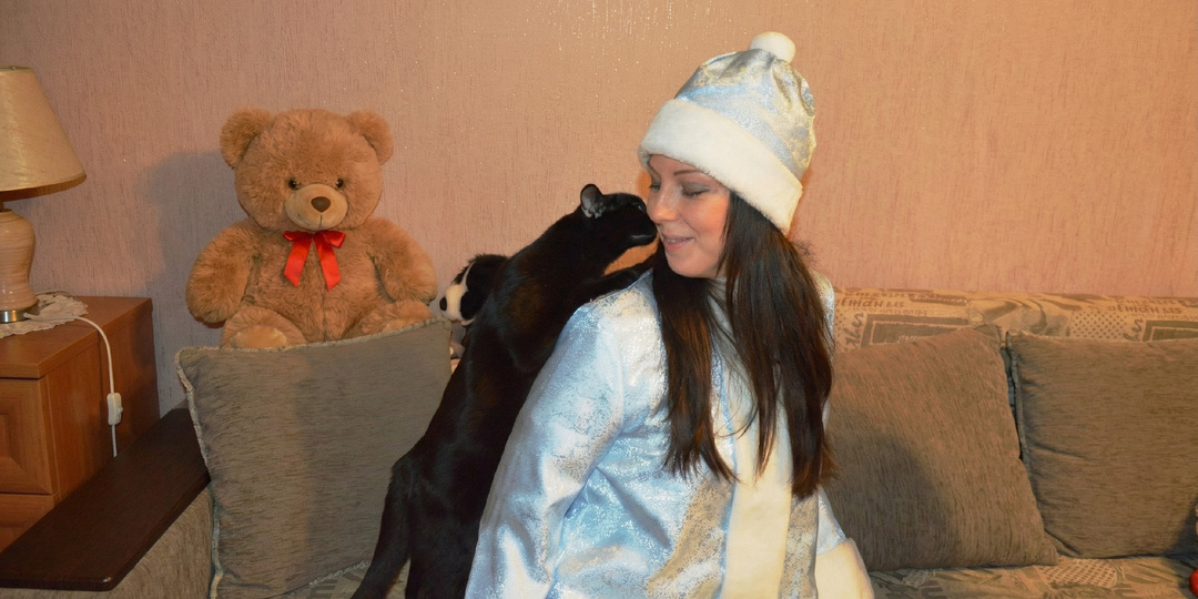 Кормить можно — трогать нельзя: почему кошка ластится к тому, кто ее не звал и избегает "добрячков"