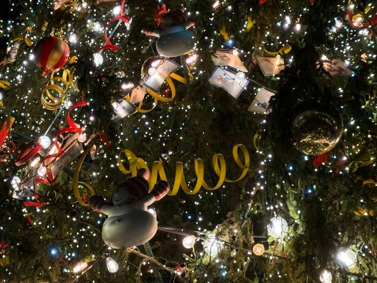 Фото: Neva.Today