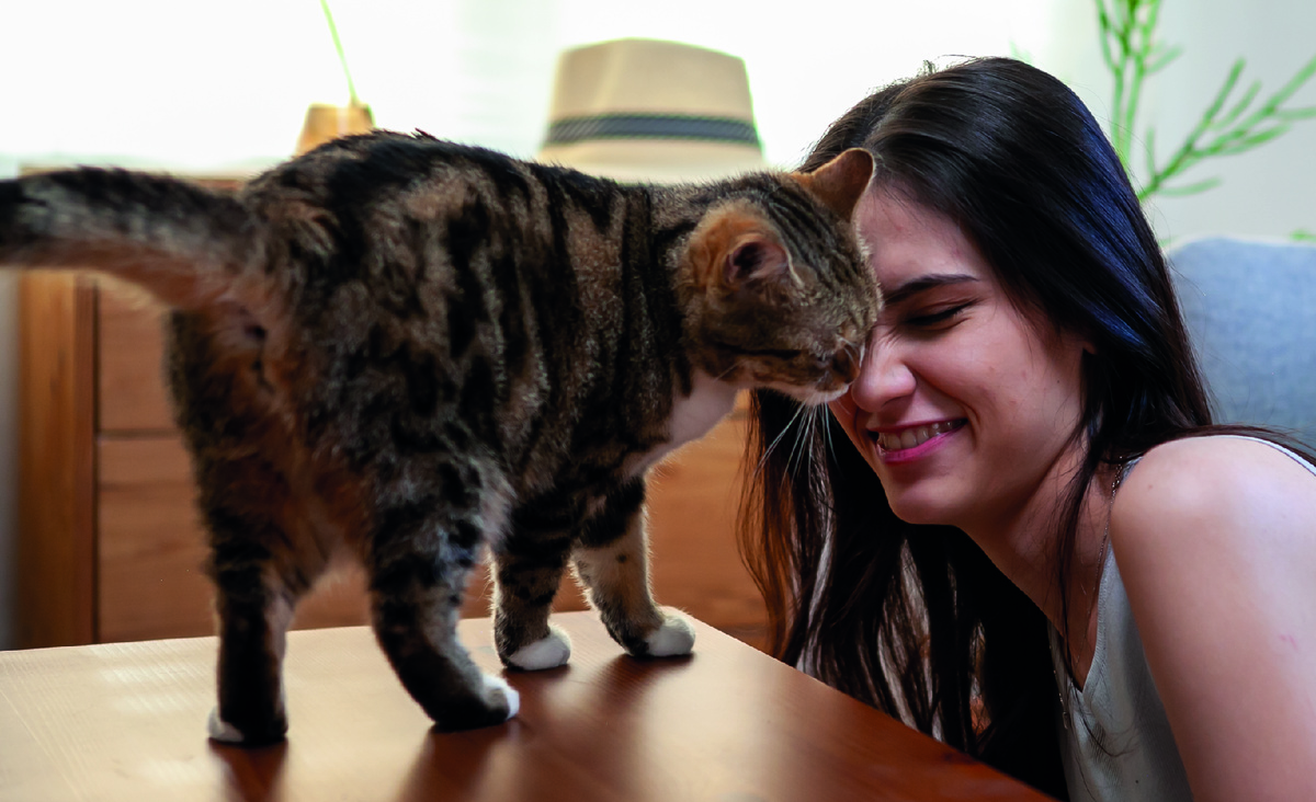 Фото: vecteezy.com - Thitiwat Junkasemkullanant.