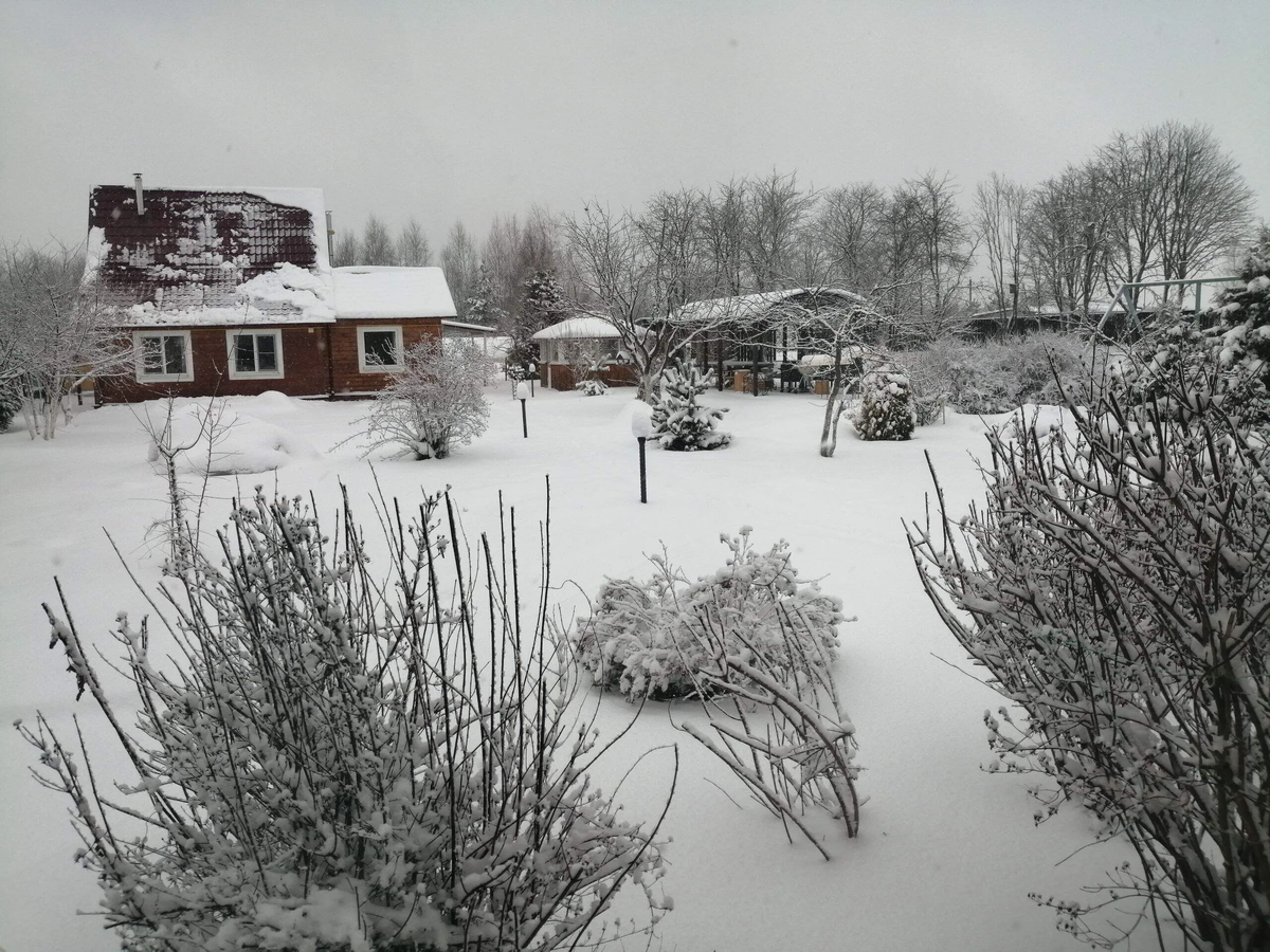 Фото автора утром 26.12.25.